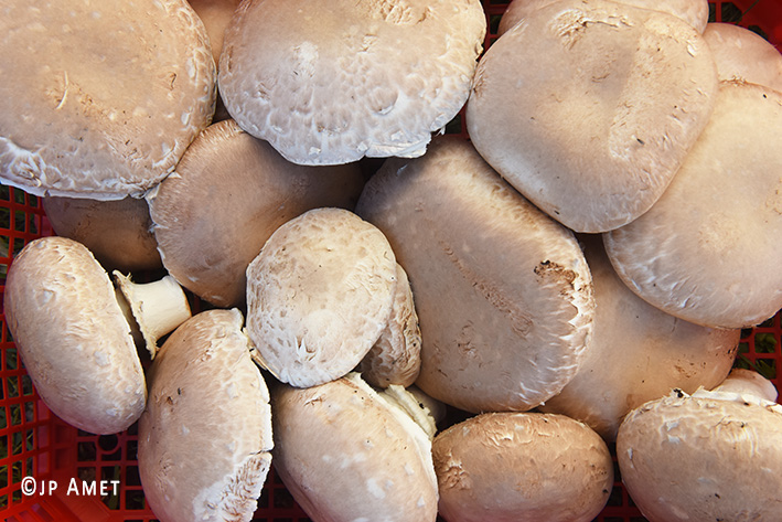 champignons de paris