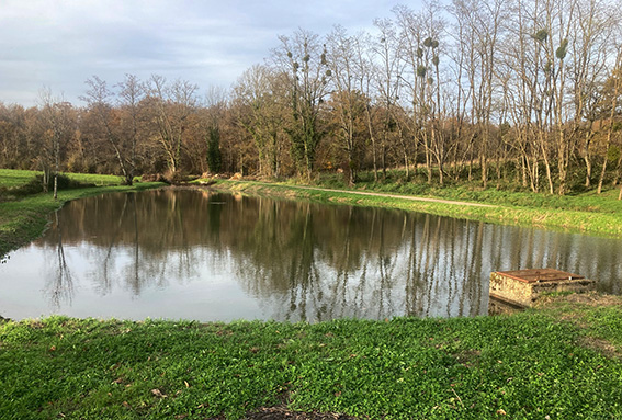 etang chatelay